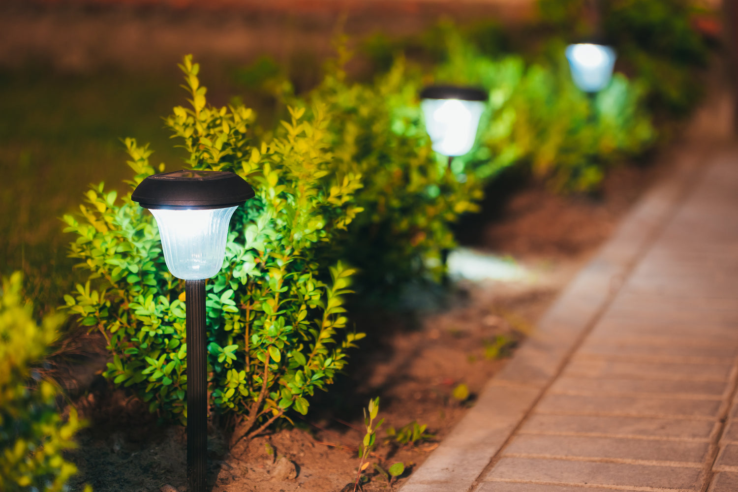 Garden Lighting